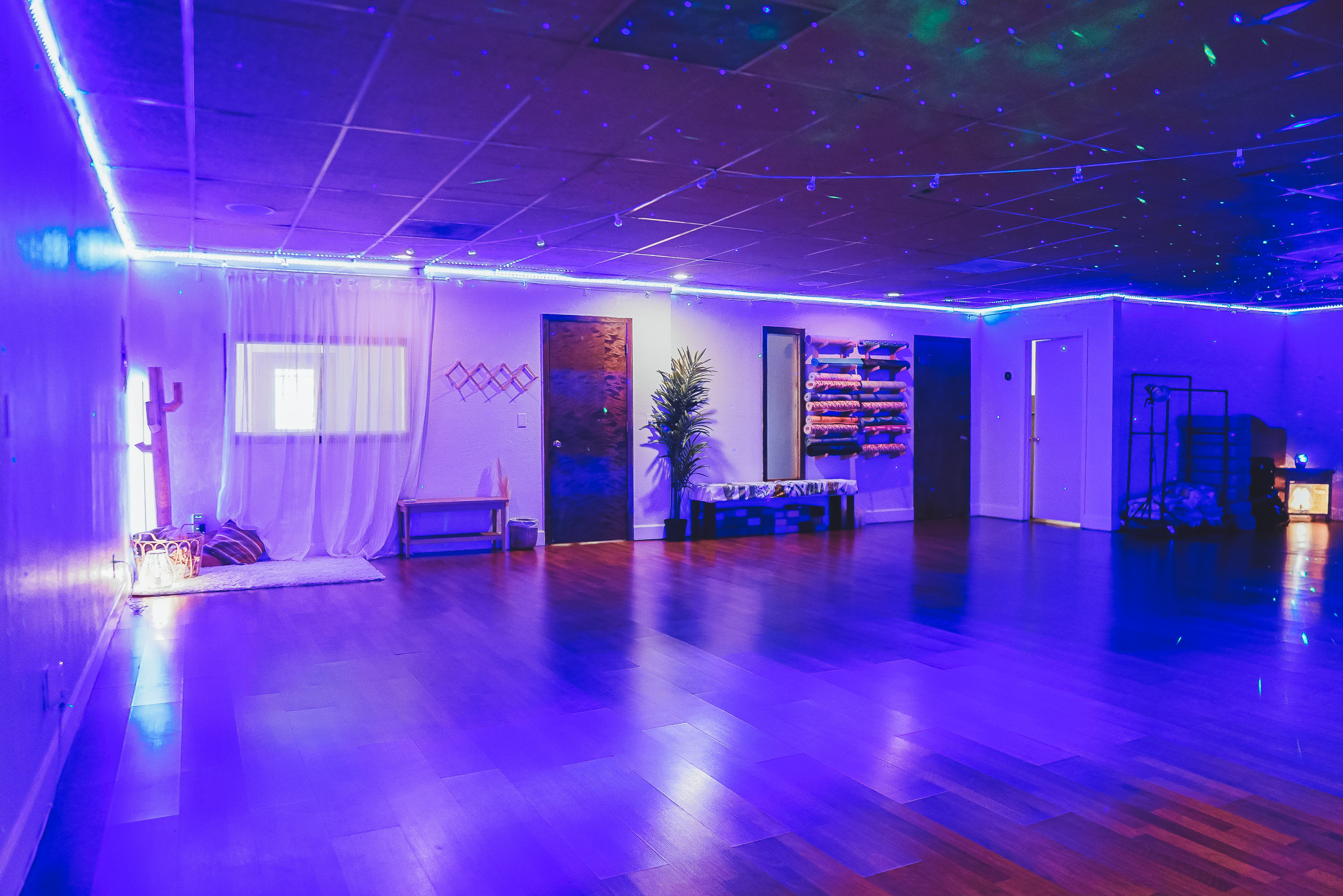 Studio setup at The Healing Tree Collective