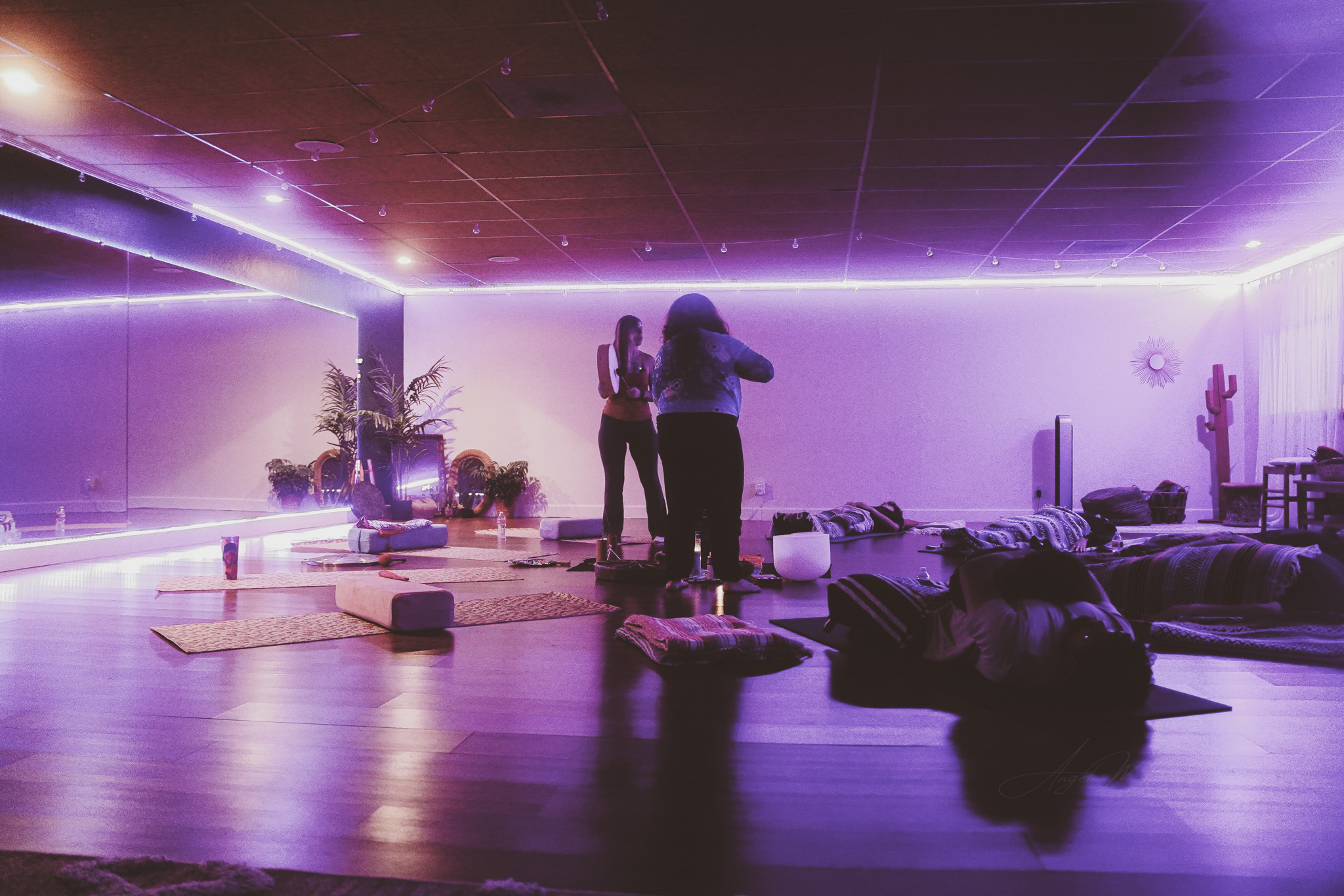 employee wellness experience supporting meaningful work and team connection